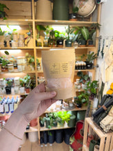 Load image into Gallery viewer, Coniferous bath salt - Relaxation in the forest