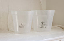 Charger l'image dans la galerie, Pots transparents pour plante, logo ZARITS, lot de deux
