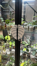 Charger l'image dans la galerie, Poignée de meuble IKEA Alocasia en velours noir, motif feuille sur disque rond