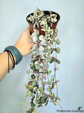 Charger l'image dans la galerie, Chaîne de coeur panachée⭐️