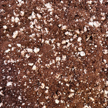 Load image into Gallery viewer, Terreau coco-perlite : mélange brun avec grains blancs de perlite, texture fine
