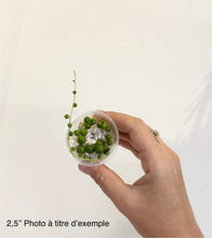 Charger l'image dans la galerie, Chaîne de perles