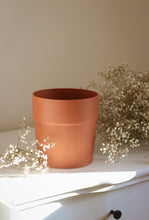 Charger l'image dans la galerie, Cache pot 3D / Pot semi-hydro Terra cotta