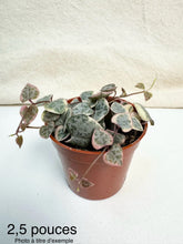 Charger l'image dans la galerie, Chaîne de coeur panachée⭐️