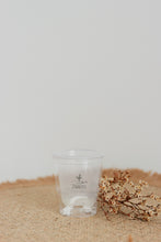 Load image into Gallery viewer, Pot auto-arrosant hydroponique transparent avec logo ZARITS et base ouverte