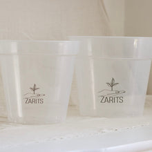 Charger l'image dans la galerie, Pots transparents pour plante, logo ZARITS, lot de deux