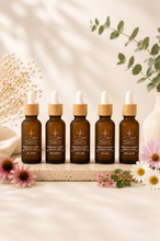 Load image into Gallery viewer, Ensemble de 5 huiles essentielles, cinq flacons ambrés avec compte-gouttes blancs ZARITS