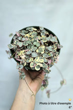 Charger l'image dans la galerie, Chaîne de coeur panachée⭐️