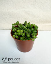 Charger l'image dans la galerie, Chaîne de perles