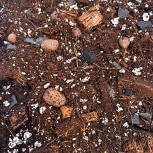 Load image into Gallery viewer, Terreau AROID MIX