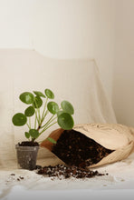 Load image into Gallery viewer, Terreau coco-perlite en sac ouvert, substrat sombre avec petites particules claires