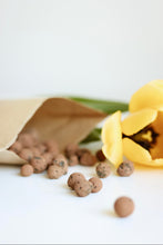 Load image into Gallery viewer, Ecological clay ball