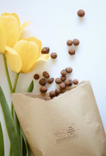 Load image into Gallery viewer, Ecological clay ball