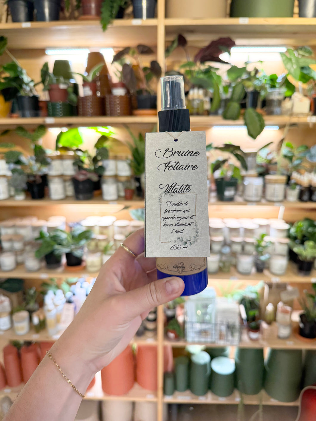 Bruine foliaire vitalité
