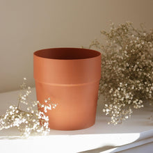 Charger l'image dans la galerie, Cache-pot cylindrique en terre cuite, grand pot
