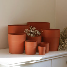 Charger l'image dans la galerie, Ensemble de cache-pots cylindriques en terre cuite, tailles variées
