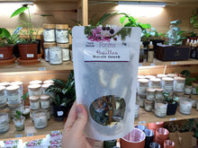 Charger l'image dans la galerie, Tisanes forêts et papilles
