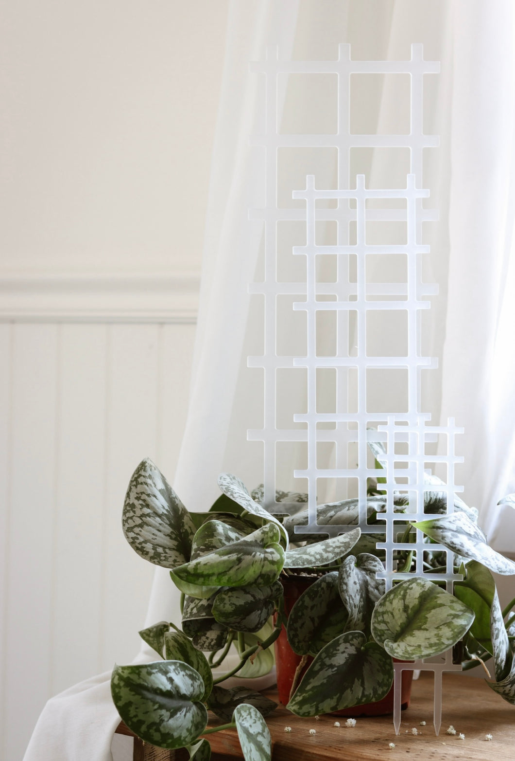 Tuteur trellis
