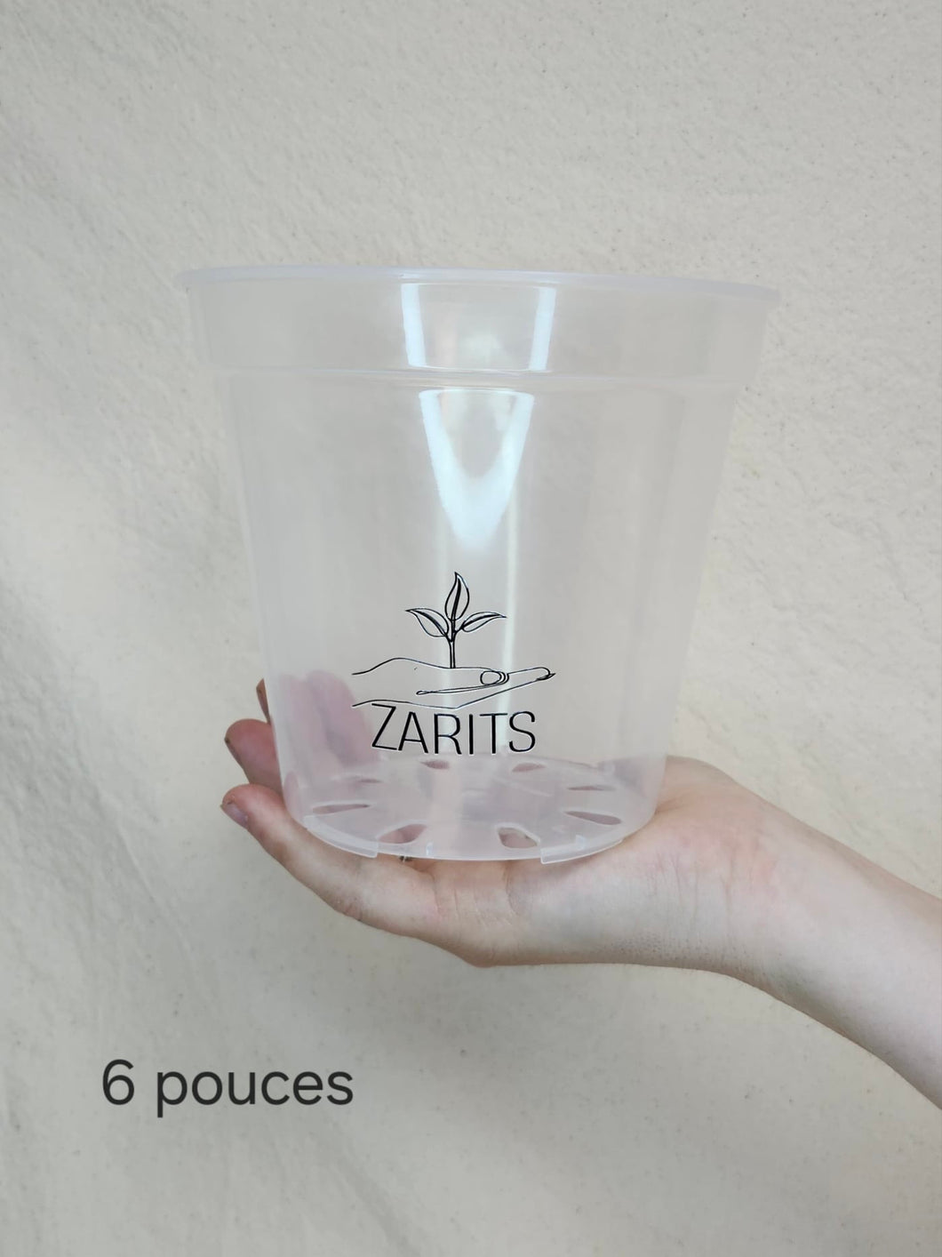 Pot 6 pouces transparent pour plante