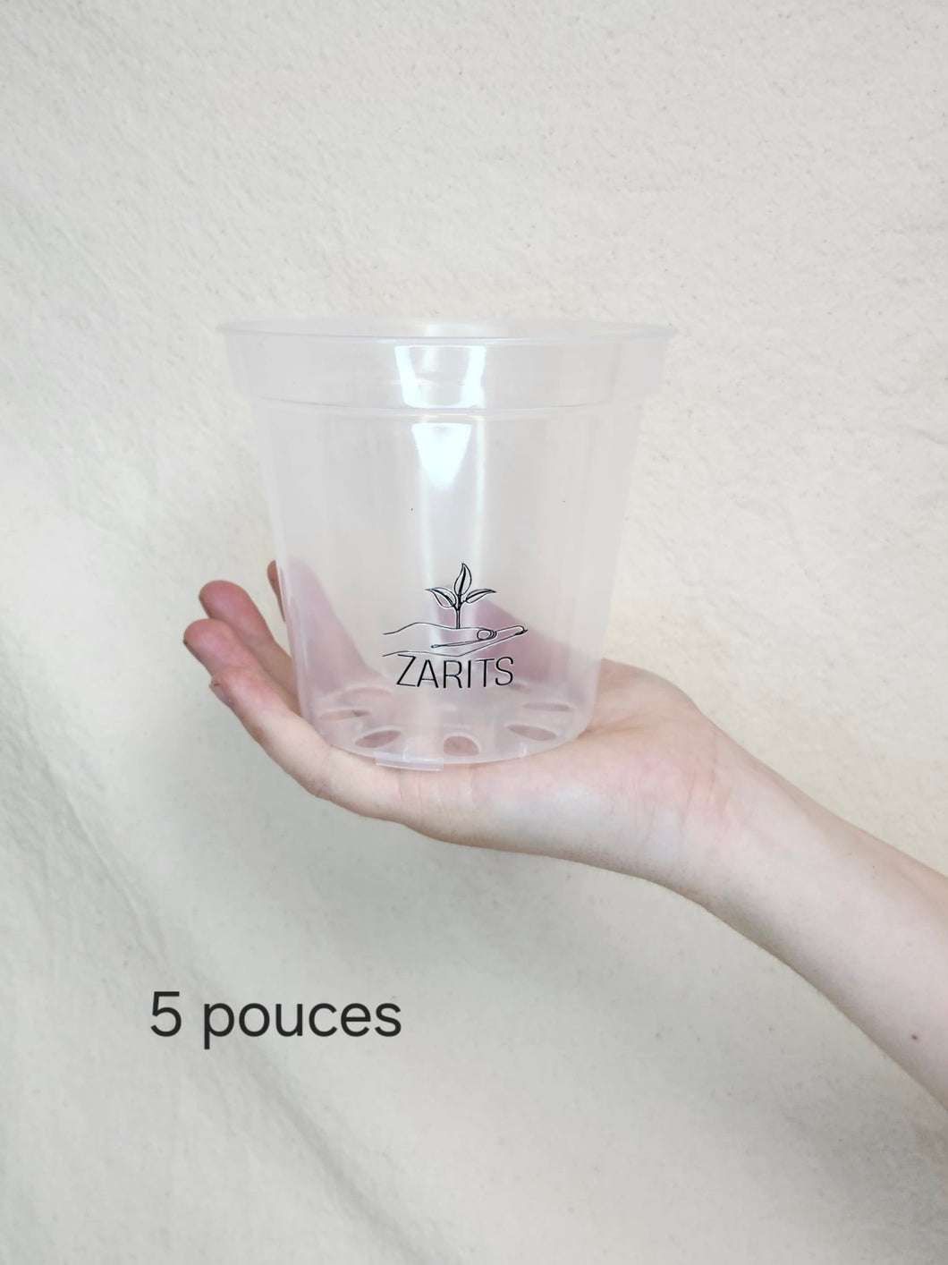 Pot 5 pouces transparent pour plante