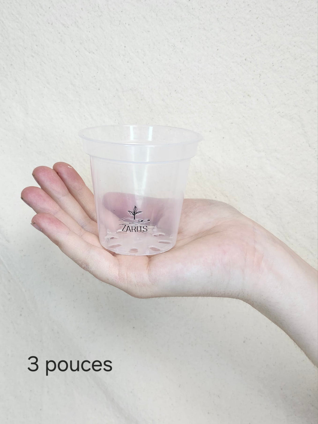 Pot 3 pouces transparent pour plante