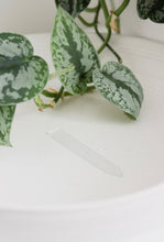 Charger l&#39;image dans la galerie, Signet transparent pour plante
