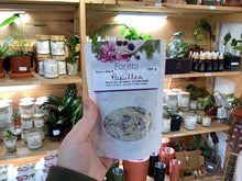 Charger l'image dans la galerie, Sucres floraux forêts et papilles
