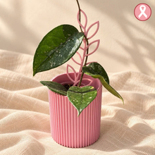 Charger l'image dans la galerie, Cache-pot ondulé ‘La Solidaire’ – Édition Octobre rose 💗
