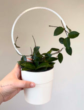 Load image into Gallery viewer, Transparent round tutor
