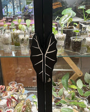 Charger l'image dans la galerie, Poignées de meuble noires en forme de feuilles, fixées sur une porte

