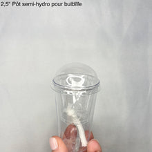 Load image into Gallery viewer, Pot semi-hydro transparent avec couvercle, pour bulbe d’alocasia, format 2,5 pouces.
