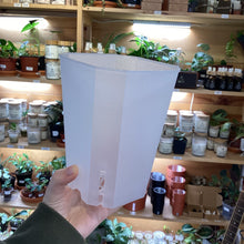 Load image into Gallery viewer, Pot transparent carré en plastique, vue de côté, forme effilée
