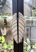 Charger l'image dans la galerie, Poignée de cabinet noire avec motif feuille en trait blanc.
