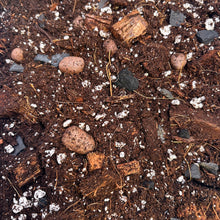 Load image into Gallery viewer, Terreau chunky : mélange brun avec morceaux de bois et perlite blanche
