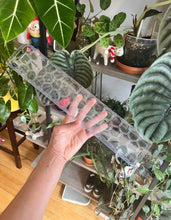 Charger l&#39;image dans la galerie, Poteau en mousse super transparent en forme de D empilable plusieurs tailles
